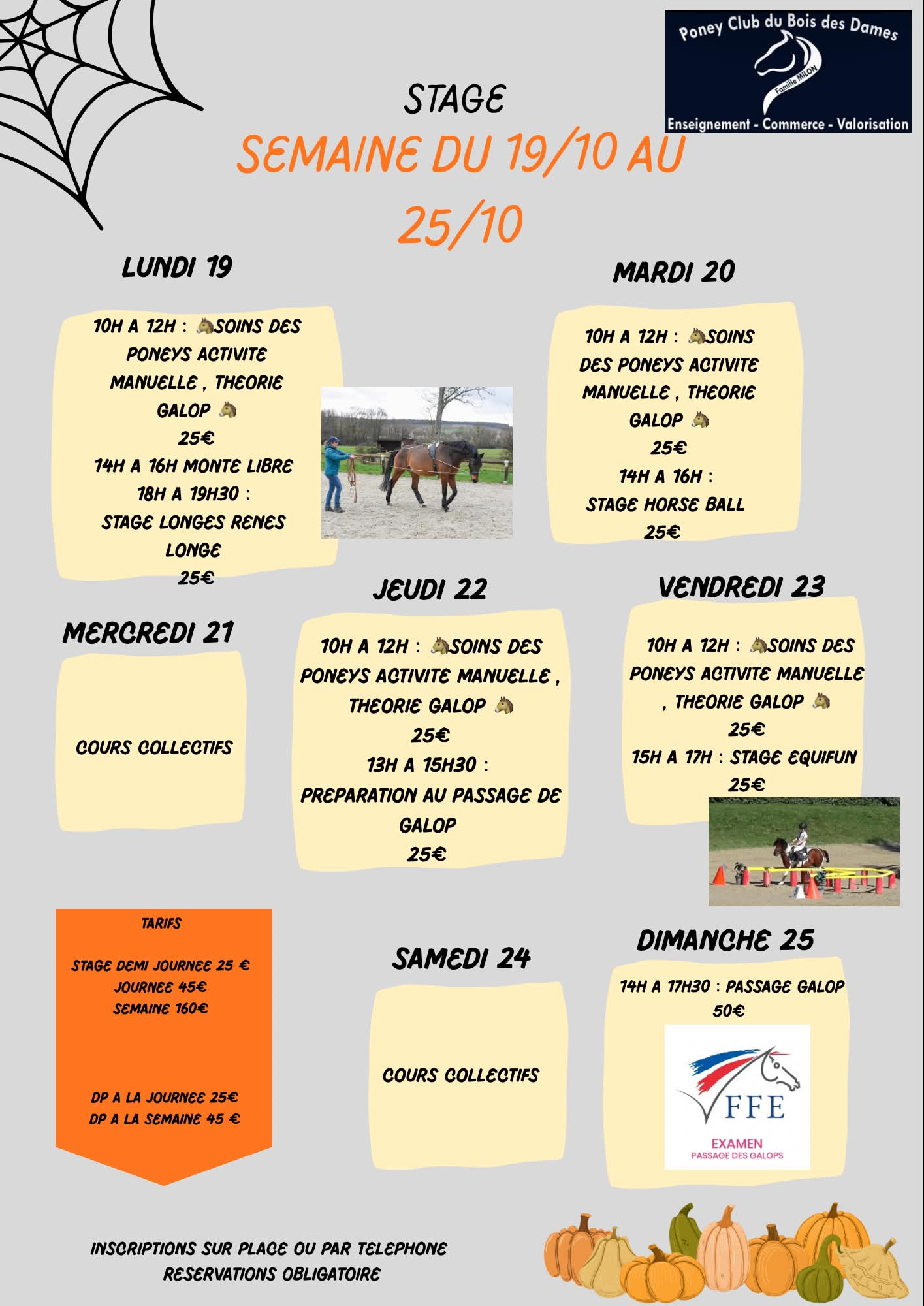 Stages vacances — du 19 au 25 octobre 2026