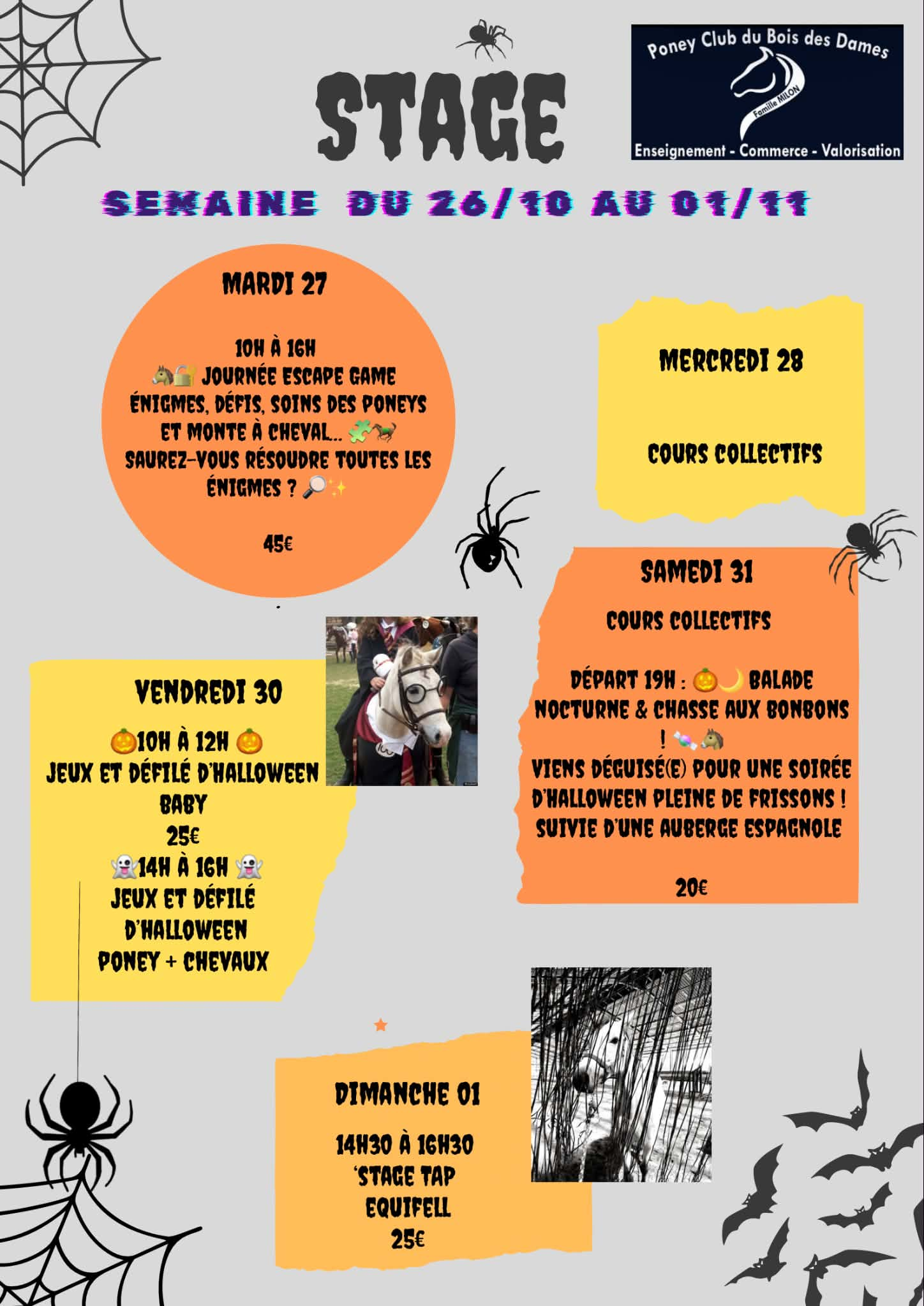 Stages Halloween — du 26 octobre au 1er novembre 2026